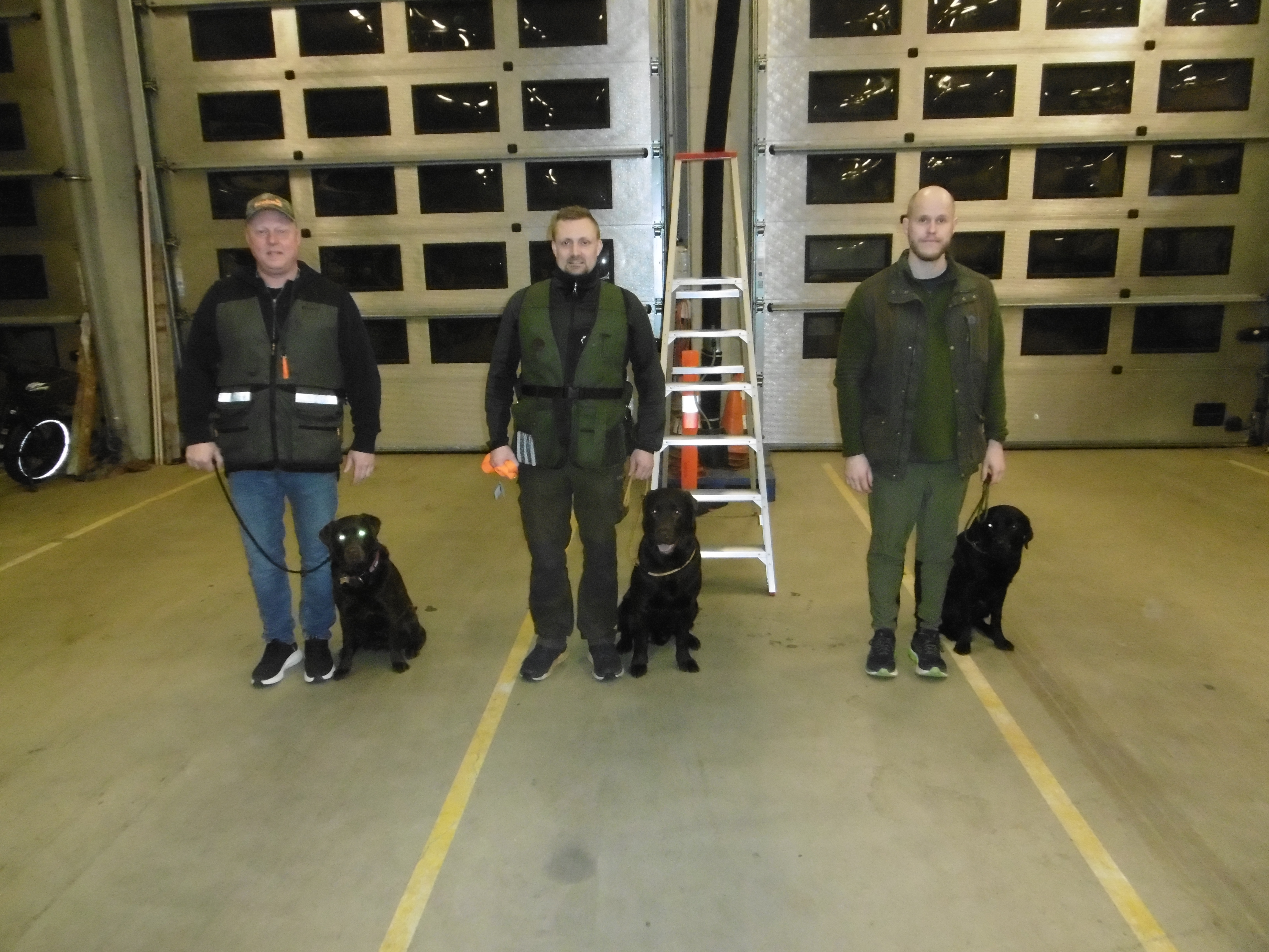 vinderne ældre hunde.JPG